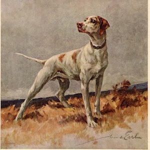 May include: A painting of a white and brown pointer dog standing in a field of dry grass. The dog has a dark collar and is looking toward the left. The background is a muted grey sky. The artist's signature, Maud Earl, is visible in the bottom right.