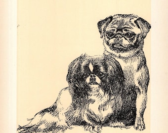 1936 Antique Pug and Pekingese Dog Print Illustration Best Friends BFF Print Cleanthe Carr Dog Art Wall Art Birthday Gift 11294a