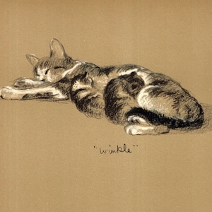 Lámina decorativa de Lucy Dawson con gatos y gatitos. Ilustración de una gata amamantando a sus crías. Regalo ideal para cumpleaños o para un amigo. 11393g