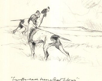 Antik pointerhund från 1936, illustration, Vernon Stokes jakthund, väggkonst, stuga, heminredning, present till födelsedag, vs 12323h
