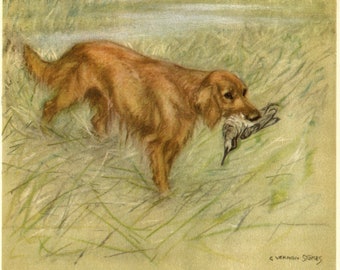 retriever lodge accessories