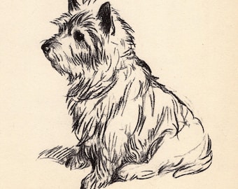 Lámina antigua de Cairn Terrier de 1937. Ilustración vintage de Lucy Dawson sobre Cairn Terrier. Arte para pared de galería. Regalo para cumpleaños de un amigo. 13576