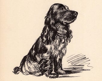 Vintage Cocker Spaniel Print 1937 Lucy Dawson Cocker Spaniel Illustration Wall Art Decor Gift for Birthday 13699r