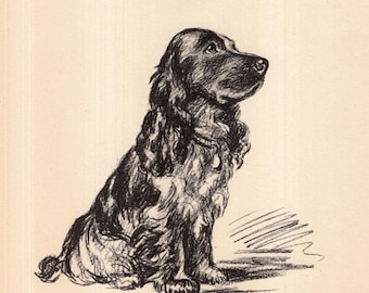 Vintage Cocker Spaniel Print 1937 Lucy Dawson Cocker Spaniel Illustration Wall Art Decor Gift for Birthday 13197z