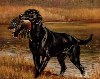 Large Labrador Retriever Print Vintage 1945 Edwin Megargee Bird Hunting Dog Gun Dog Art Print Wall Art Home Library Decor 7565b