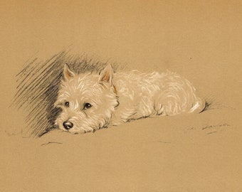1940 Antique West Highland White Terrier Print Wall Art Decor Vintage Lucy Dawson Westie Illustration Gift for Birthday Friend 7721v