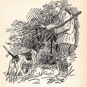 Può includere: Illustrazione in bianco e nero di un cacciatore con un fucile e due cani in un campo. Il cacciatore tiene dei rami. Il testo in basso recita: ...sul suo grande e onesto volto, per quanto possibile, era un'espressione di divertimento e rammarico.