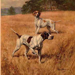 1945 Large Antique POINTER Dog Print Hunting Dog Art Edwin Megargee Pointer Illustration Gun Dog Decor Home Library Decor 7568e