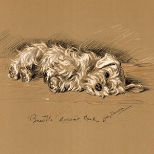Stampa antica di Sealyham Terrier del 1940, illustrazione di Lucy Dawson Sealyham, decorazione da parete, regalo per compleanno o amico 11028v