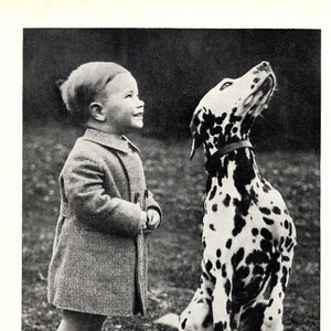 1930's Antique Dalmatian Print Wall Decor Sweet Little Boy and His Dalmatian All Agog Birthday Gift Idea 7979j