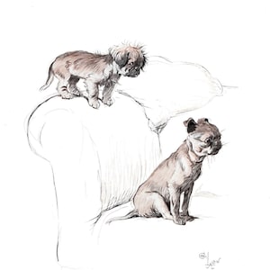 Stampa artistica da parete raffigurante un pechinese e un grifone di Bruxelles, di Cecil Aldin, 1930, illustrazione artistica di un cane, regalo per la casa per il compleanno, 8486