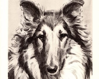 1940er Jahre Vintage Collie Print Wandkunst Dekor Morgan Dennis Collie Illustration Galerie Wandkunst Wohnkultur 12958f