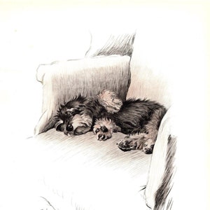 Cecil Aldin Dachshund Print Wall Art Decor 1930 Illustrazione di Dachshund Decorazione per la casa Regalo per compleanno 10237Q