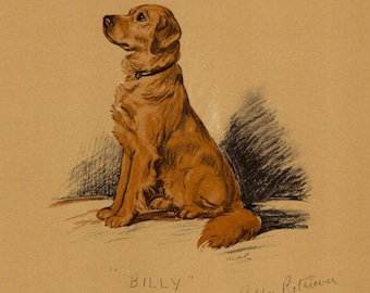 Antique Golden Retriever Print 1937 Lucy Dawson Golden Retriever Illustration Gallery Wall Art Decor  Gift 13698Q