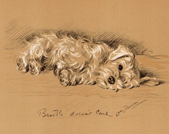 1940 Antique Sealyham Terrier Print Vintage Lucy Dawson Sealyham Illustration Gallery Wall Art Decor Gift for Birthday Friend 11341e