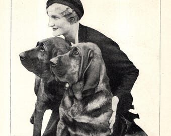 1930's Antique BLOODHOUND Dog Print Champion Frolic and Fairlight Bloodhound  Birthday Gift Idea 12047p