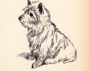 Lámina antigua de Cairn Terrier de 1937. Ilustración vintage de Lucy Dawson sobre Cairn Terrier. Arte para pared de galería. Regalo para cumpleaños o para un amigo. 13320c