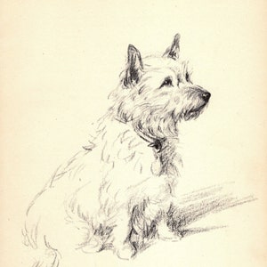 Vintage Cairn Terrier Print Wall Art Decor Lucy Dawson Cairn Terrier Illustration Gallery Wall Art Gift for Birthday Friend 6719b