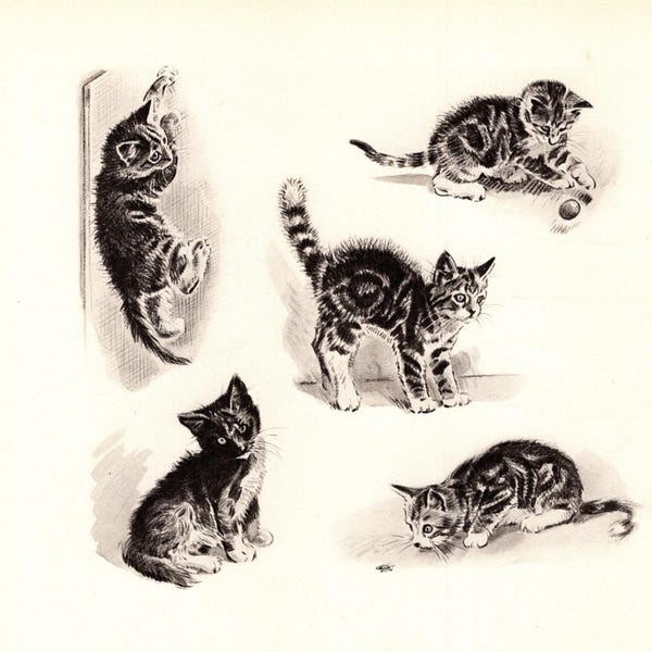 Lámina decorativa de gatitos atigrados de los años 40 para pared. Ilustración vintage de gatitos de Morgan Dennis. Decoración para habitaciones infantiles. 10968L