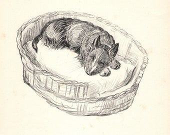 Sweet Scottish Terrier Print Wall Art Decor 1938 Vintage K Barker Scottie Terrier Illustration Gift  kfb 10257f