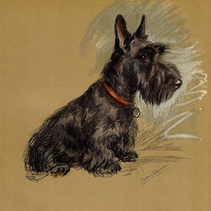 Vintage Scottish Terrier Print 1940s Lucy Dawson Scottie Dog Illustration Wall Art Home Decor Gift for Birthday 10557a
