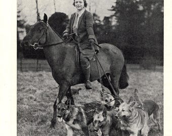 1930's Antique German Shepherd Print Wall Decor Breeder Thelma Evans on Horse and her Alsatian Dogs 11770y
