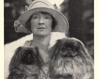 1930-talets snygga pekingestryck väggdekoration Champions See Mee och Dimple Remenham Pekinges med Mrs Vlasto 9962p
