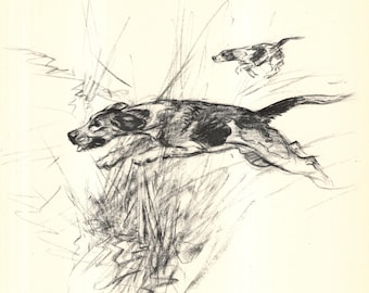 Härligt Foxhound-tryck 1936 Vernon Stokes jakthund Foxhound-illustration väggkonst stuga heminredning present till födelsedag vs 12320e