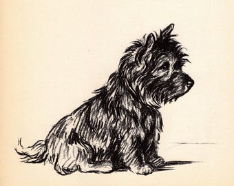 Vintage Cairn Terrier Print Wall Art Decor 1937 Lucy Dawson Cairn Terrier Illustration Gallery Wall Art Gift for Birthday Friend 13328L