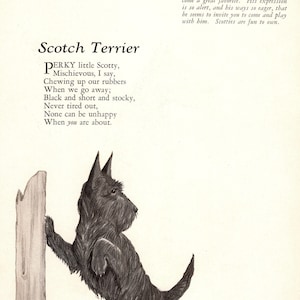 Vintage Scottish Terrier Print Wall Art Decor 1920s Scottie Dog Poetry Poem Illustration Gallery Wall Art Home Decor 7946