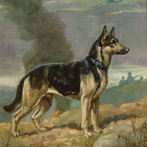May include: An illustration of a German Shepherd dog standing on a rocky hill, with a dark sky and two airplanes in the background. The dog is black and tan, wearing a blue collar. Smoke and figures are visible in the distance.
