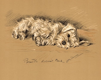 Lámina antigua de Sealyham Terrier de 1940. Ilustración vintage de Lucy Dawson sobre Sealyham. Arte para pared de galería. Regalo ideal para cumpleaños o para un amigo. 13569u