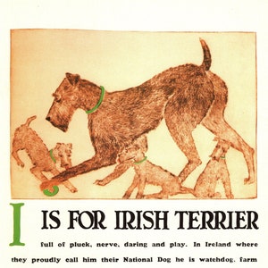 Impresión vintage de terrier irlandés, letra I del alfabeto, impresión de terrier irlandés, ilustración, arte de pared, decoración para habitación infantil, 10580z