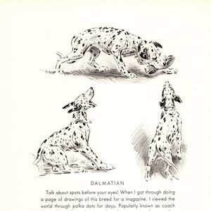 1940s Vintage Dalmatian Print Wall Art Decor Morgan Dennis Dalmatian Illustration Gallery Wall Art Sketch Birthday Gift Idea 7452L