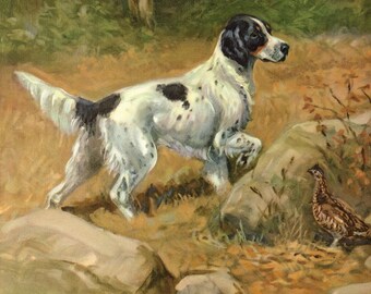 Vintage English Setter Print Wall Art Decor 1950s Edwin Megargee English Setter Illustration Hunting Lodge Cabin Decor 5867p