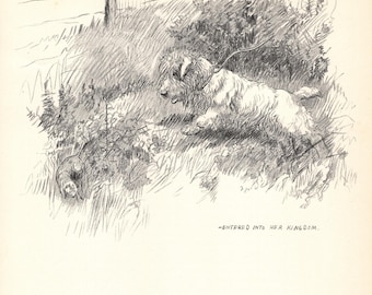 Antique Sealyham Terrier Print Wall Art Decor Vintage 1938 K Barker Sealyham Art Illustration Gift  kfb 10837g