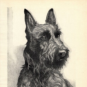 1930&#39;s Antique SCOTTISH TERRIER Print Wall Art Decor Vintage Nina Scott Langley Scottish Terrier Illustration Gallery Wall Art 8123g