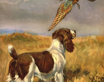Vintage Springer Spaniel Print Wall Art Decor Edwin Megargee Springer Spaniel Hunting Dog Art Lodge Cabin Decor Birthday Gift Idea 13304g