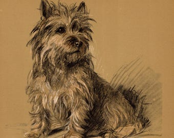 1940 Antique Cairn Terrier Print Wall Art Decor Vintage Lucy Dawson Cairn Terrier Illustration Gallery Wall Art 13704a