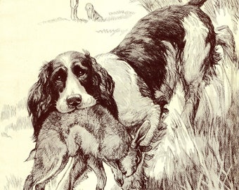 1930's Antique SPRINGER SPANIEL Print Wall Art Decor Rabbit Hunting Dog Print Nina Scott Langley Dog Art Print Birthday Gift Idea 8182