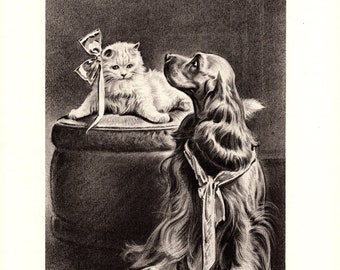 Antique COCKER SPANIEL Print 1946 Morgan Dennis Cocker Spaniel and Cat Wall Art Home Decor  Birthday Gift 6971t