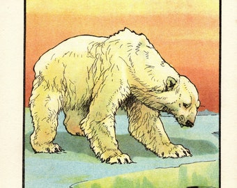 1925 Antique Polar Bear Print Wall Art Decor Vernon Stokes Polar Bear Illustration Home Decor Gift for Birthday vs 7872z
