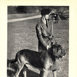 1930&#39;s Antique BLOODHOUND Print Wall Decor Nereholm Falstaff Bloodhound Gallery Wall Decor Birthday Gift Idea  6893f