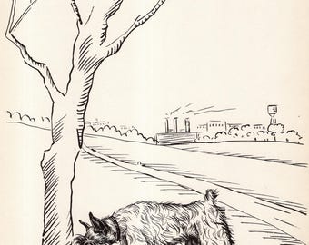 ユーモラスなシュナウザーのプリント壁掛けアート装飾 1930年代の面白いシュナウザーのイラスト、Zito Galleryの壁掛け装飾ギフト 11684j