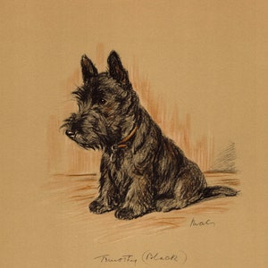 1940 Antique Scottish Terrier Print Wall Art Decor Lucy Dawson Scottie Dog Illustration Gallery Wall Art Gift for Birthday Friend 7910n