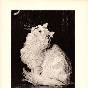 Vintage 1940s Cat Print White CAT and BUTTERFLY Print Morgan Dennis Cat Illustration  Childrens Kids Room Decor Birthday Gift 11096m
