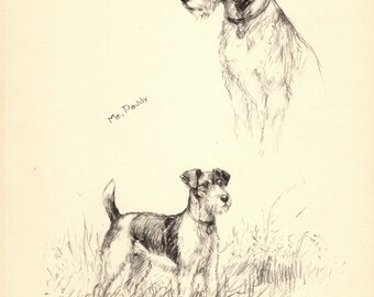 Stampa d'epoca Fox Terrier, decorazione da parete, 1935 K Barker Fox Terrier Dog Illustration, regalo Fox Terrier kfb 8630j