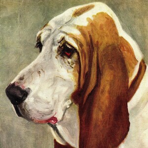 1930's Antique BASSET HOUND Print Wall Art Decor Musket F T Daws Basset Hound Illustration Dog Gallery Wall Art Print Gift Idea 8120d