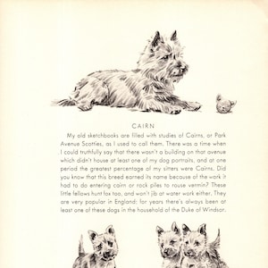 1940s Vintage Cairn Terrier Print Wall Art Decor Cairn Terrier Illustration Morgan Dennis Dog Art Kids Room & Childrens Decor 11306n