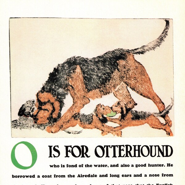 Vintage Otterhound Print ABC Letter O Alphabet Print Otterhound Illustration Wall Art Print Nursery Childrens Room Decor 4173u